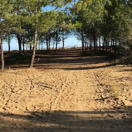 公寓 La Possibilite D'une Ile *