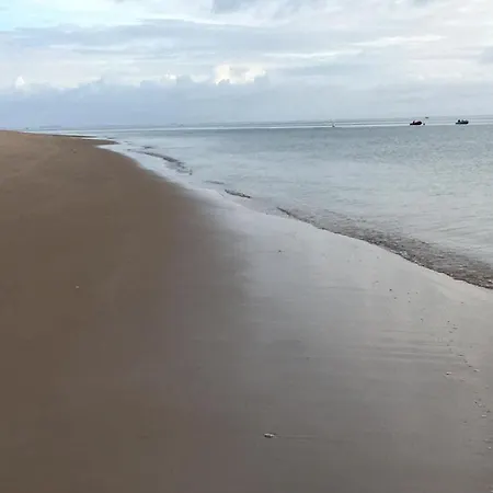 La Possibilite D'une Ile * Boyardville