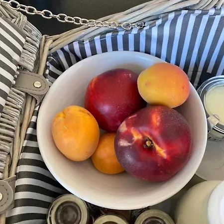 La Possibilite D'une Ile *