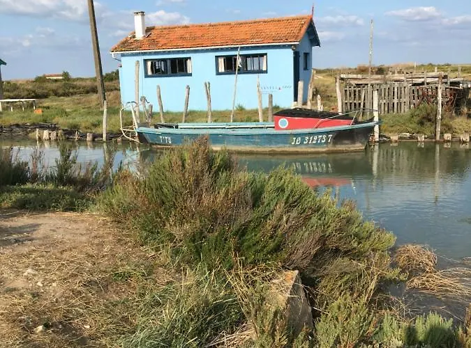 La Possibilite D'une Ile Apartment
