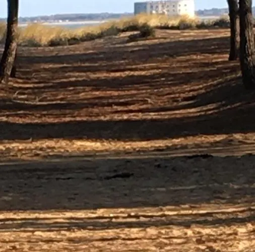 La Possibilite D'une Ile * Boyardville