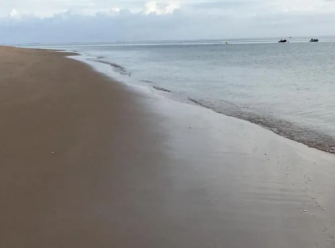 La Possibilite D'une Ile * Boyardville